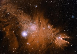 Cone Nebula Stars