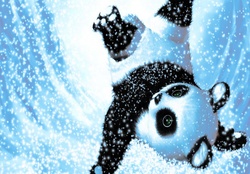 SNOW PANDA
