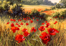 Bright Red Poppies F2