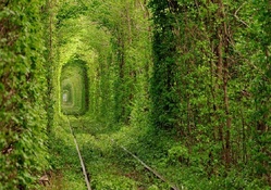 Tunnel of Love _ Ukraine