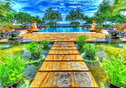 Paradise pool nature
