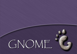 Gnome _ Brushed Purple