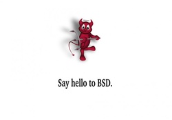 Say Hello To BSD