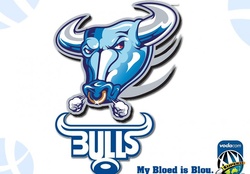 Bulls _ My bloed is blou