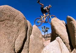 Yucca Valley biking